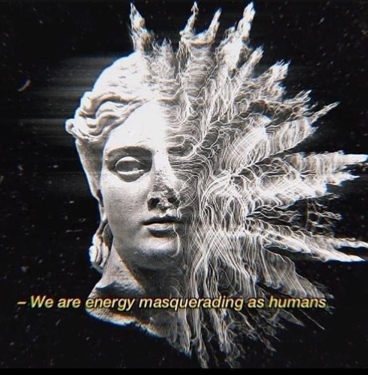 The meme features a cartoonish illustration of a person with a blank expression, with a speech bubble containing the text: "I am not a human, I am a human doing. I am not a human being, I am a human doing."